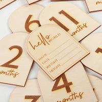 Baby's First Year Milestone & Pregnancy Markers - Circle Disc Style